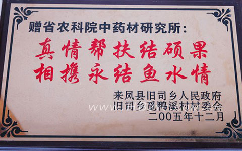 2005年来凤县旧司乡人民政府所赠