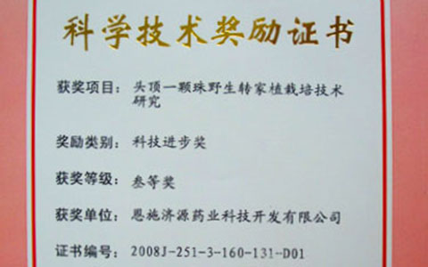 2008年荣获湖北省科技进步三等奖