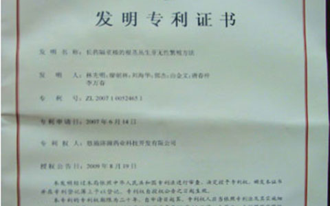 2009年获得发明专利