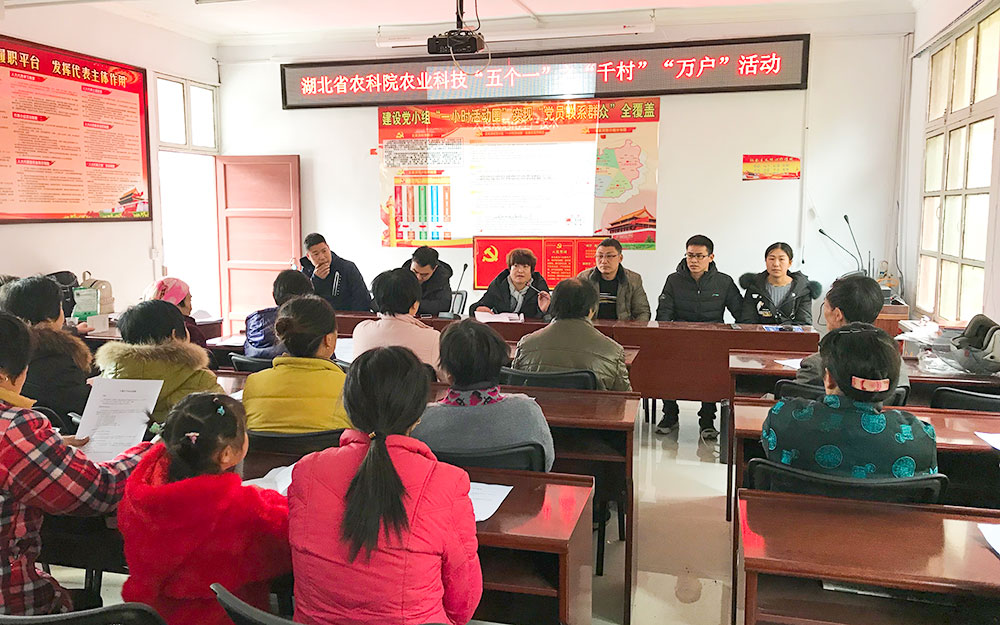 1513216063945781.jpg 03.jpg