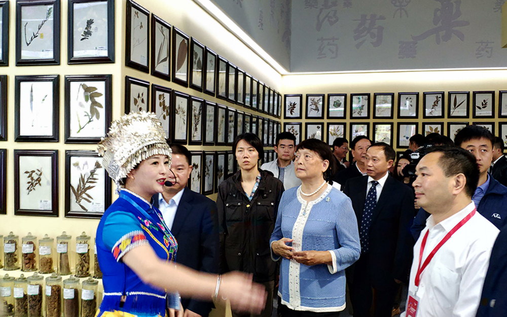 第十一届全国政协副主席张梅颖巡馆