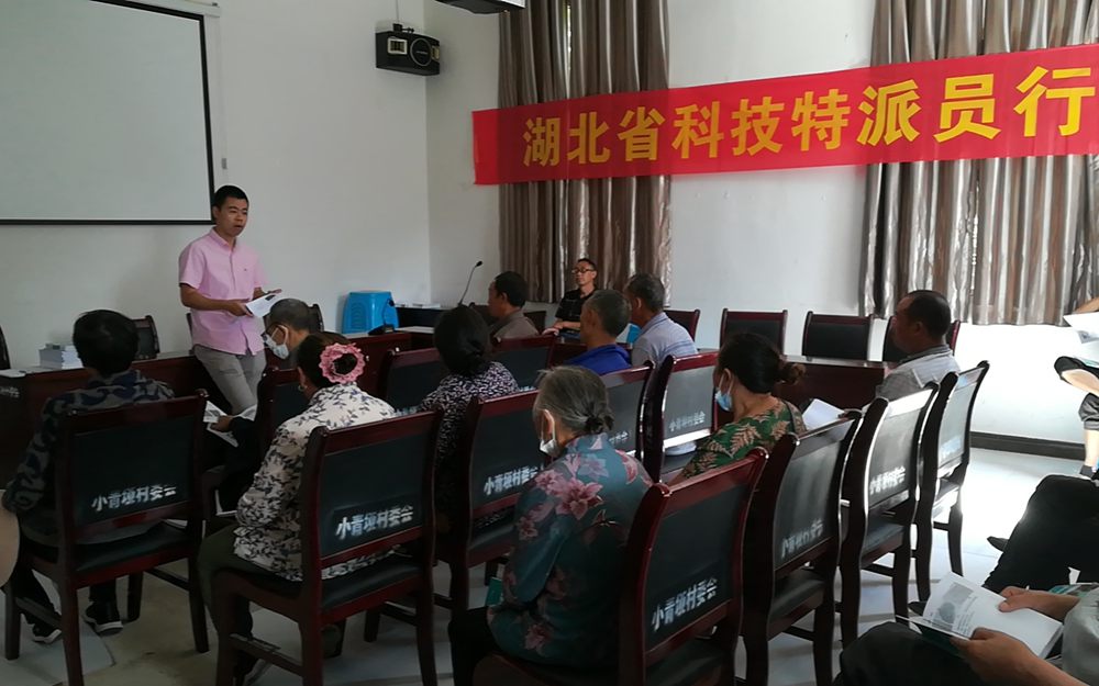 20200825-1.jpg