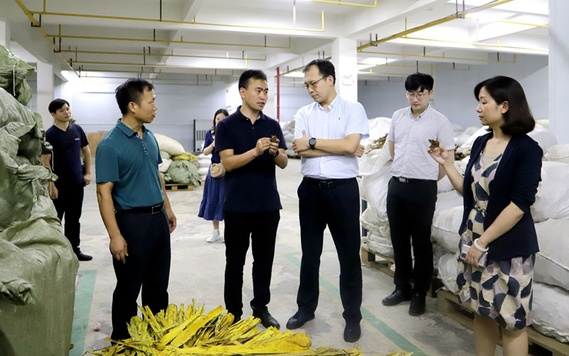 7.21团省委调研中药材所.jpg