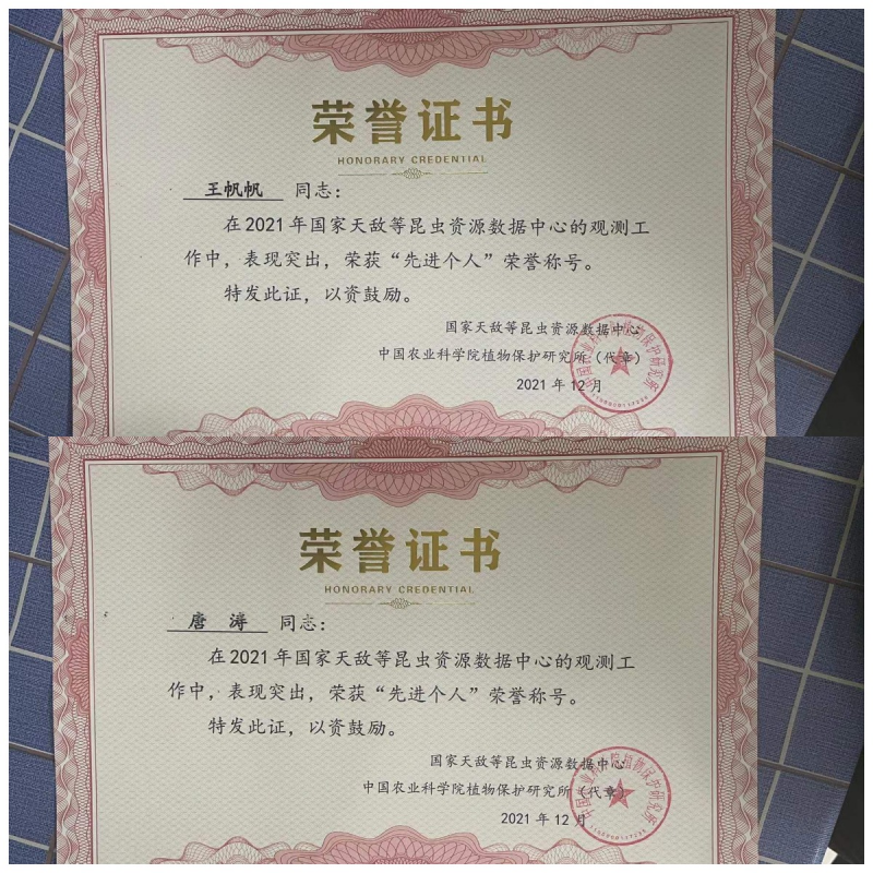 WPS图片拼图(1).png