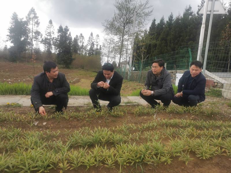 1650590004486047.jpg 微信图片_20220419182455(1).jpg