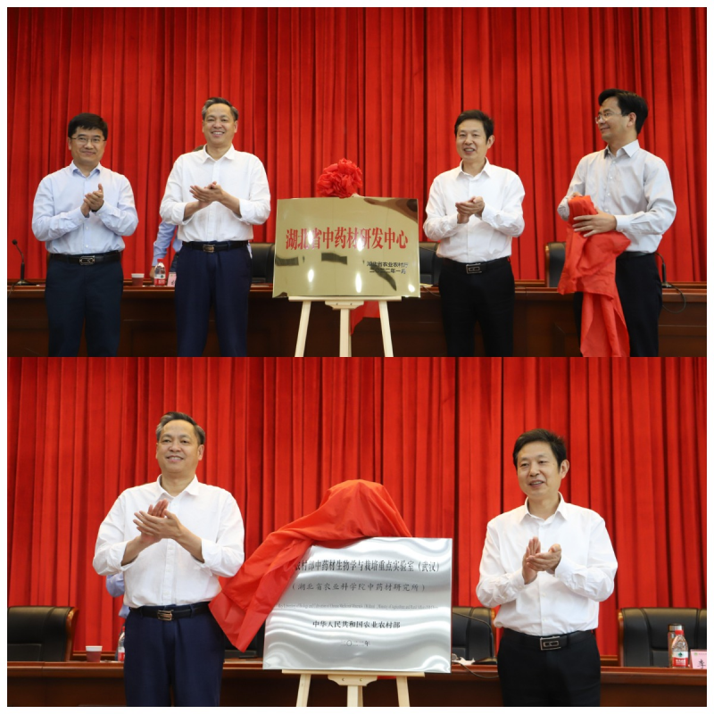 1652749781711803.png WPS图片拼图(1).png