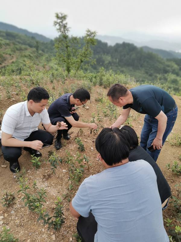 微信图片_20220602001705(1).jpg