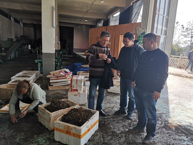 微信图片_20230313111853_副本_副本.jpg