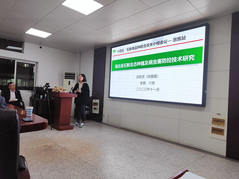 71d1186a2374026e7c706478a865abf_副本.jpg