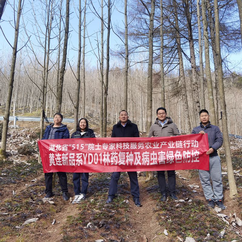 9f56fa057b1b84d4c0e48bfd6174f83_副本.jpg