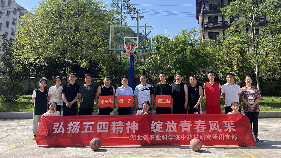 2024年五四篮球比赛