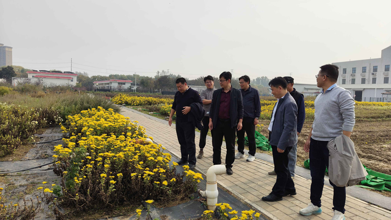 1762388495120812.png c1ade65ba08e962f19666ed404808a72.png