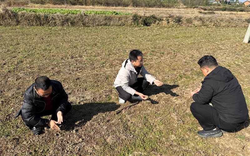 1764642587822981.jpg 宜昌当阳.jpg