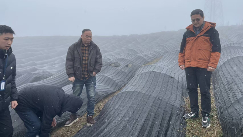 1769667717605861.jpg D~D7WKGWR236K$8PC47_CJ4.jpg