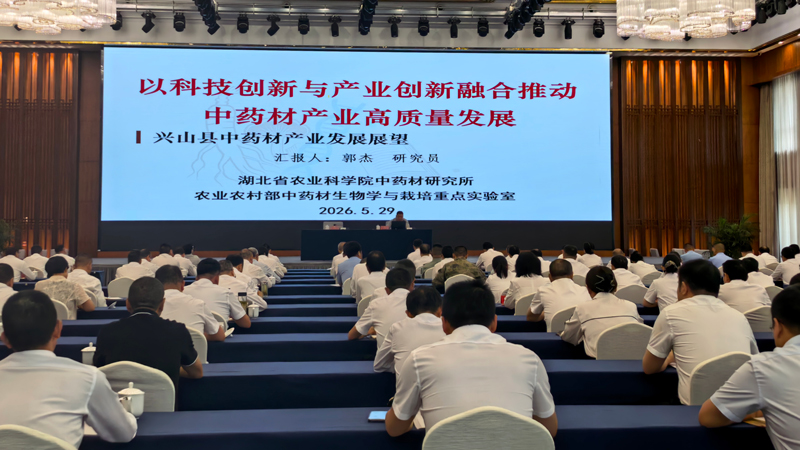 未命名_副本.jpg